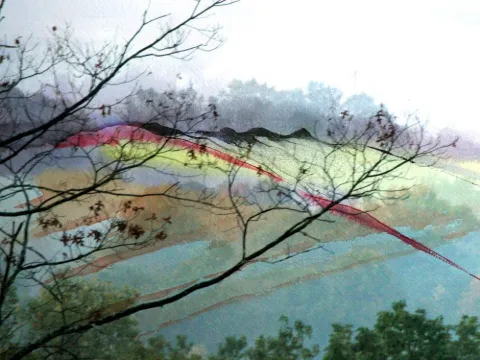 Bare branches stretched across a soft misty valley in pinks and greens