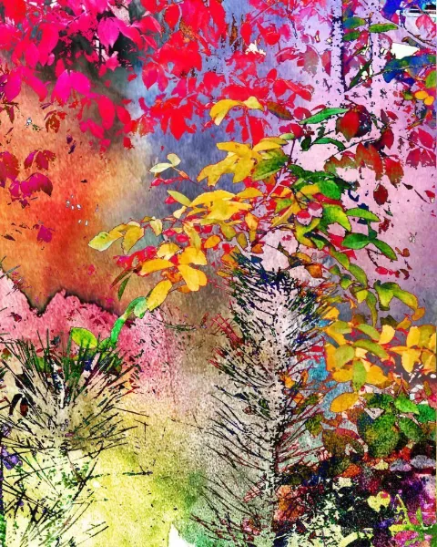 Garden of Whispers: Magenta and gold leaves tumbling over pale grasses