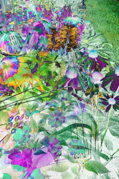 Bright magenta and violet blooms among green fronds