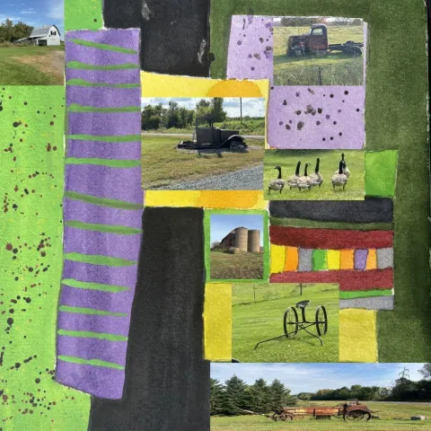 Collage of farm photographs, a tractor and cows framed by violet and yellow stripes