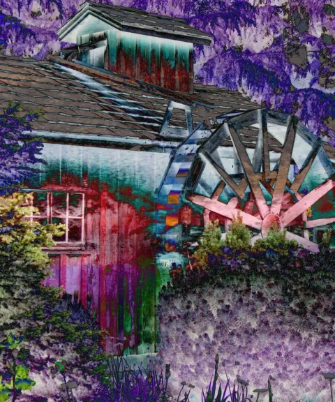 A red mill with a turning water wheel surrounded by violet flowers