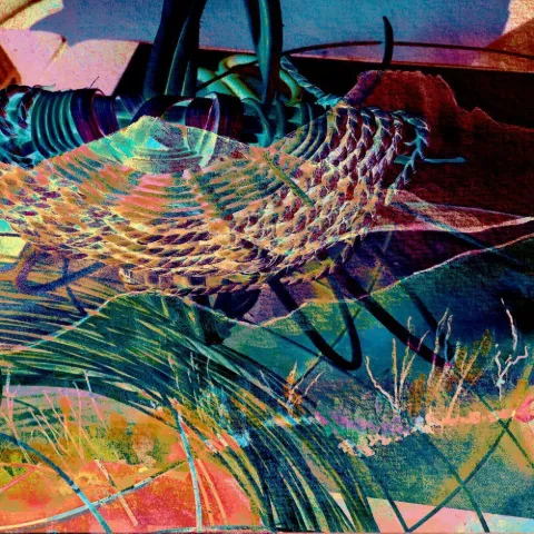Swirling bands of orange, teal and red woven over dark leaves, like a basket pattern seen through water